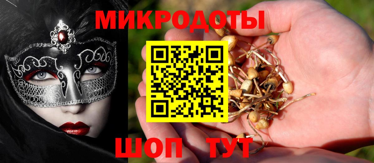 Галлюциногенные грибы Psilocybine cubensis Усолье-Сибирское